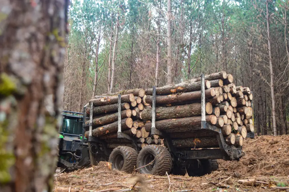 Carreta Florestal