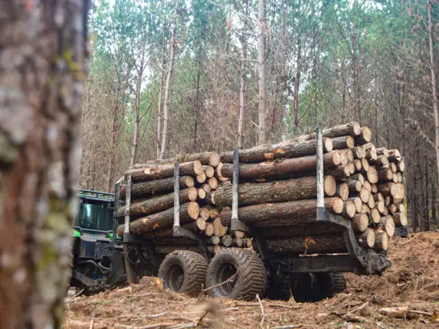 Carreta Florestal