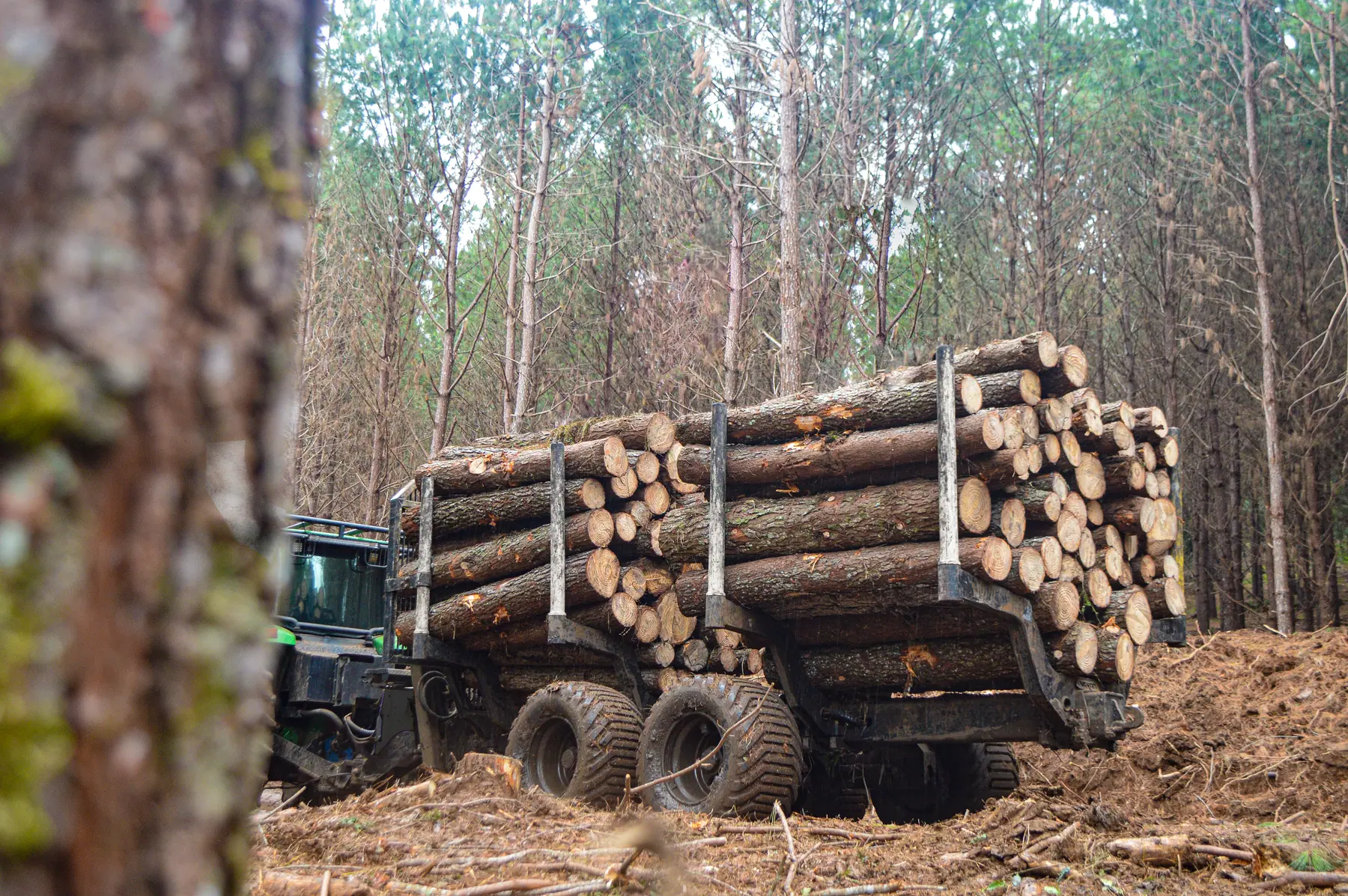 Carreta Florestal