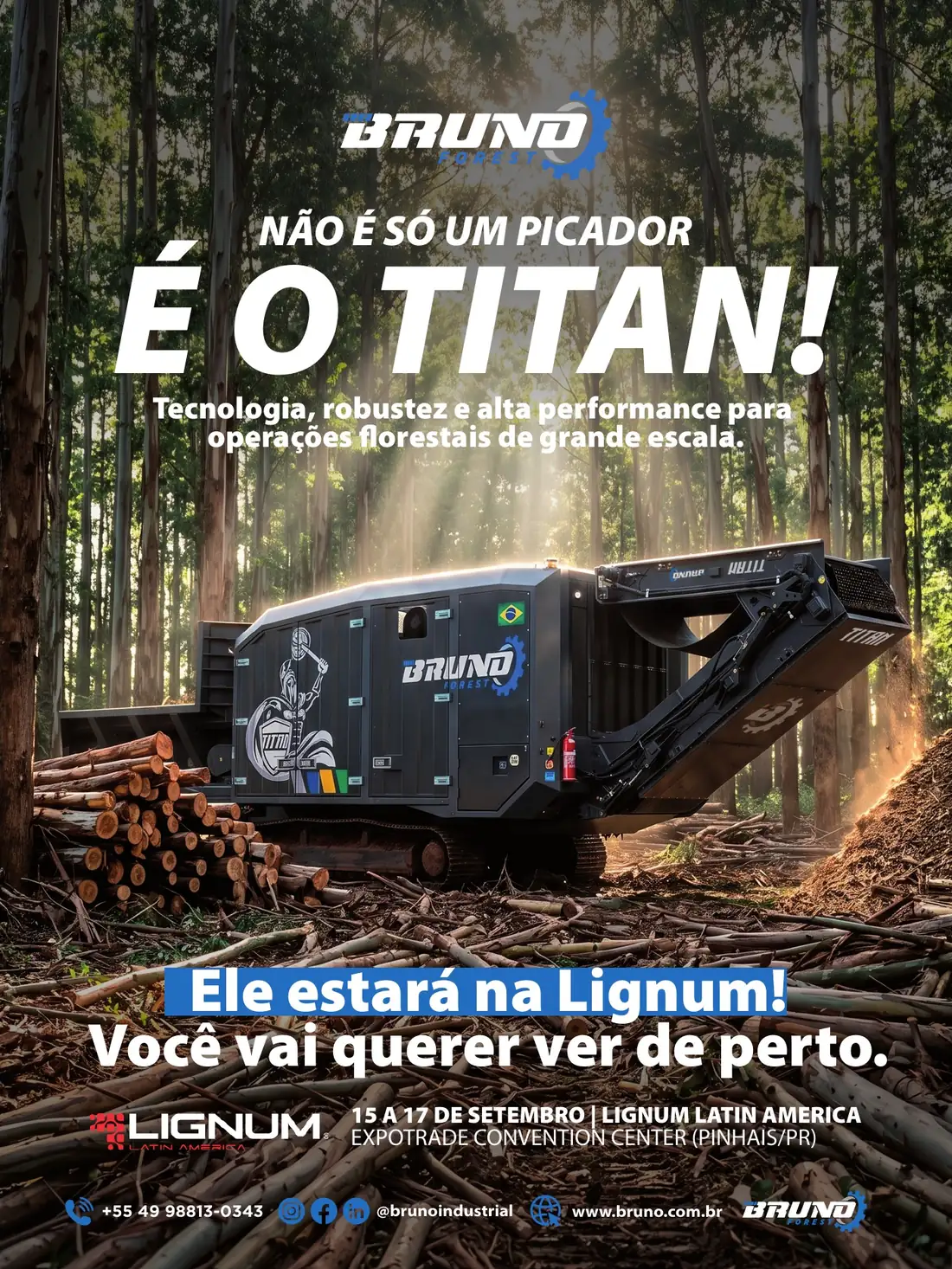 Página 17